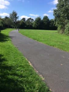 Danes Green path