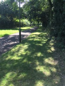 Danes Green Shaded Path